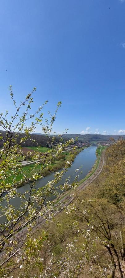 شقة Froschkoenig Mit Teichblick Trendelburg المظهر الخارجي الصورة