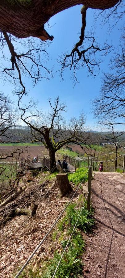 شقة Froschkoenig Mit Teichblick Trendelburg المظهر الخارجي الصورة