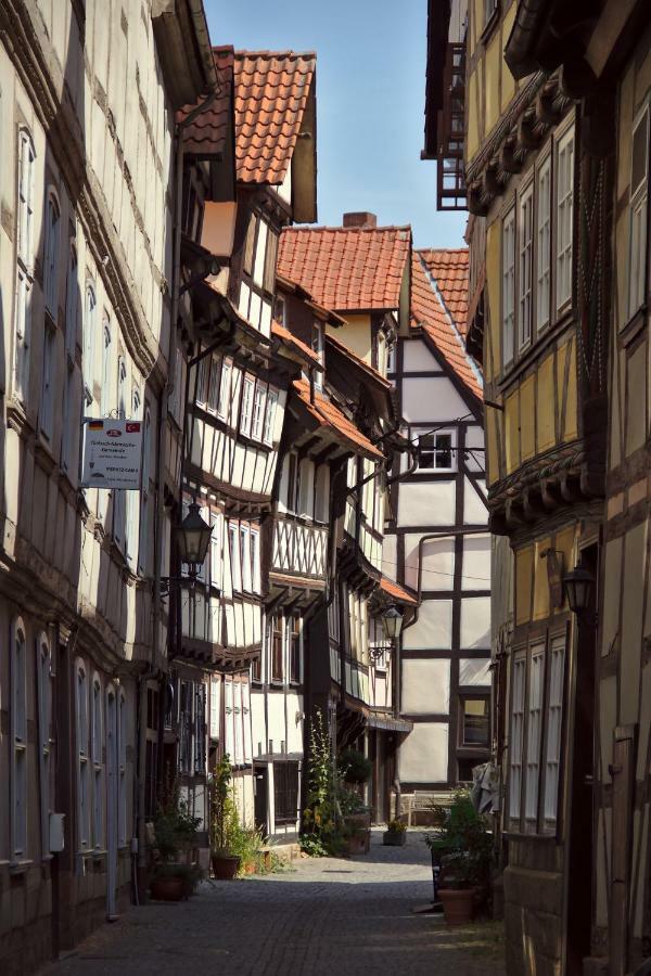 شقة Froschkoenig Mit Teichblick Trendelburg المظهر الخارجي الصورة