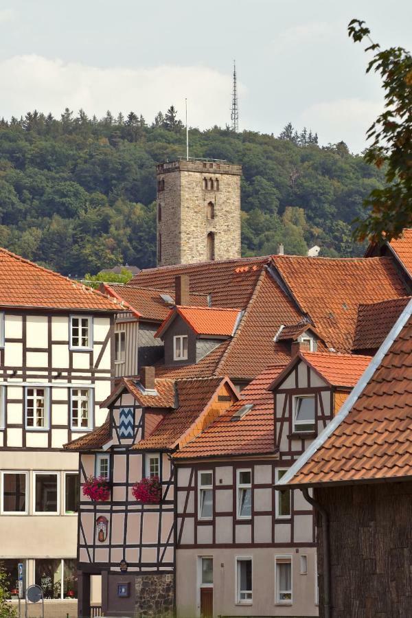 شقة Froschkoenig Mit Teichblick Trendelburg المظهر الخارجي الصورة